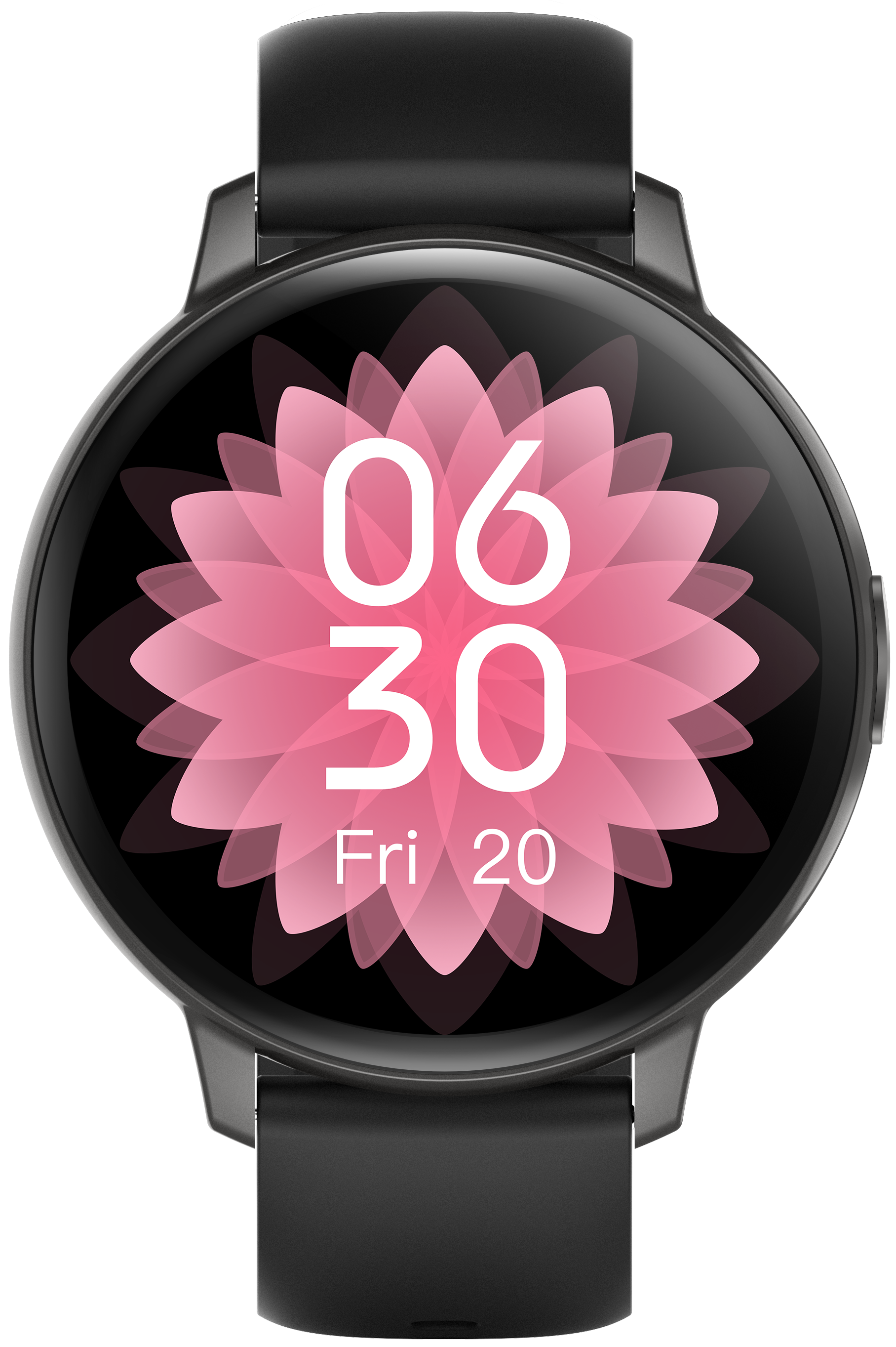 Lira with Bonus Band